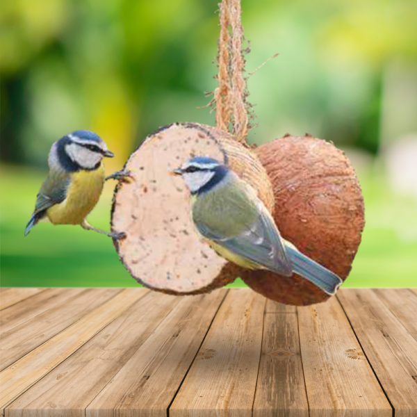 Kokosy nadziewane dla ptaków